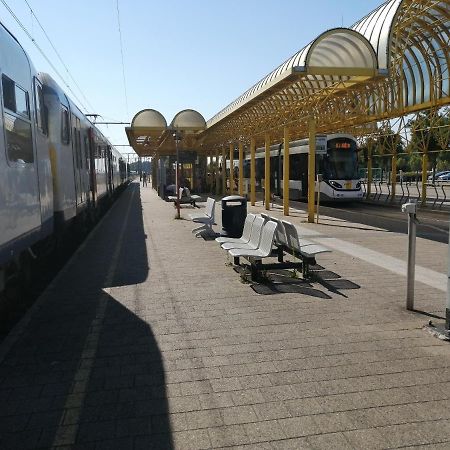 Vakantie Aan Zee 德帕内 外观 照片