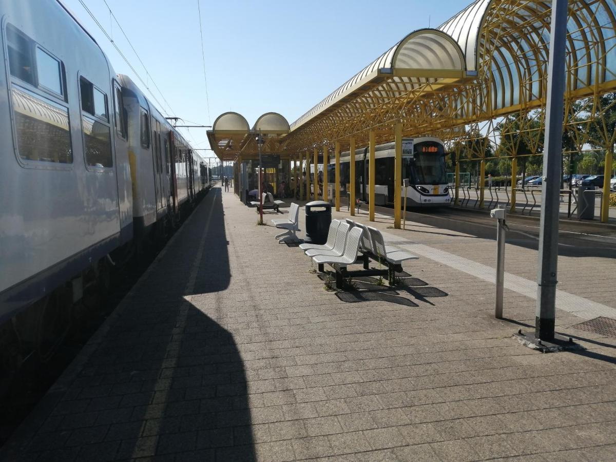 Vakantie Aan Zee 德帕内 外观 照片